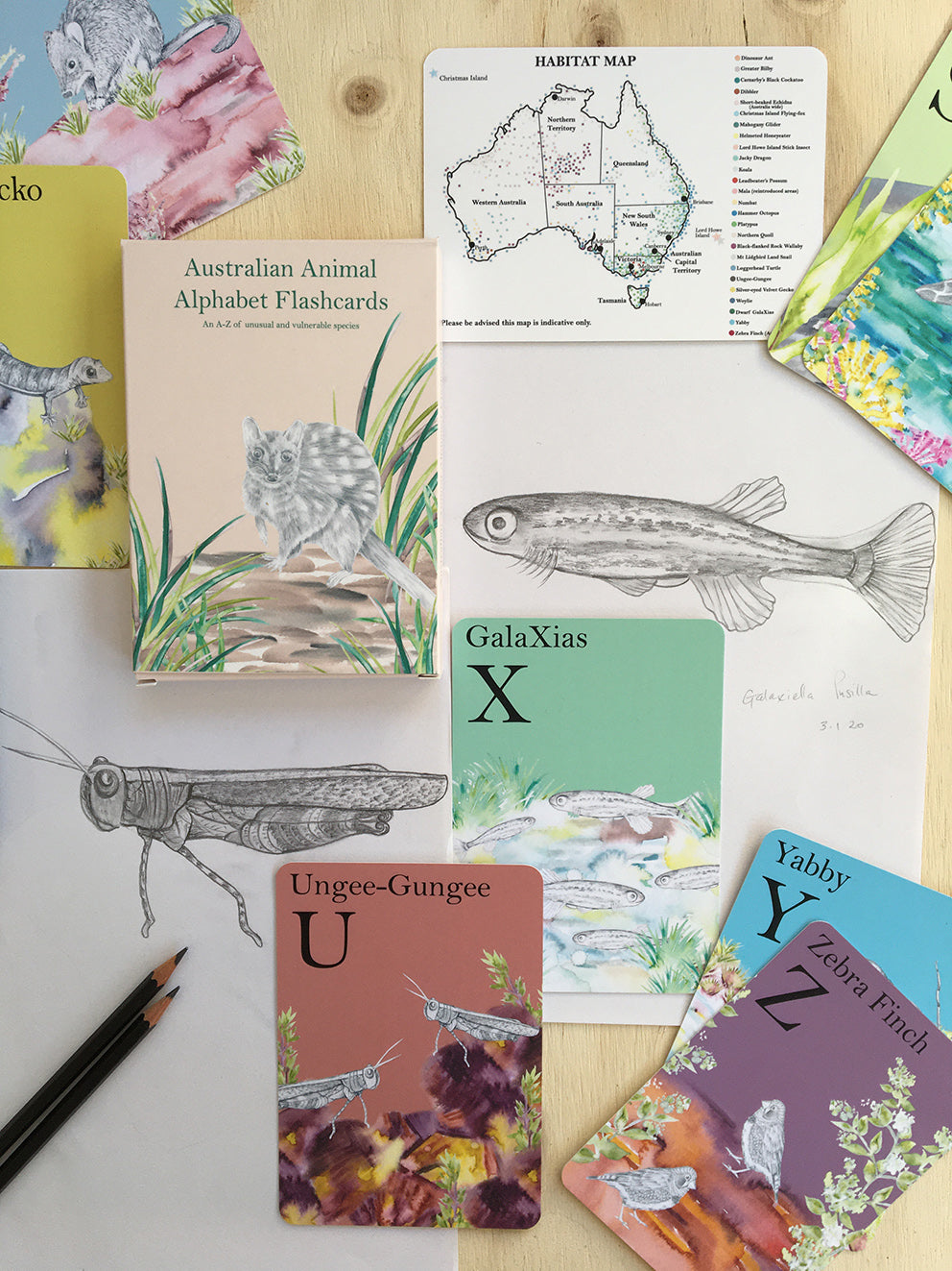 Fabriculture Australian Animal Alphabet Flashcards
