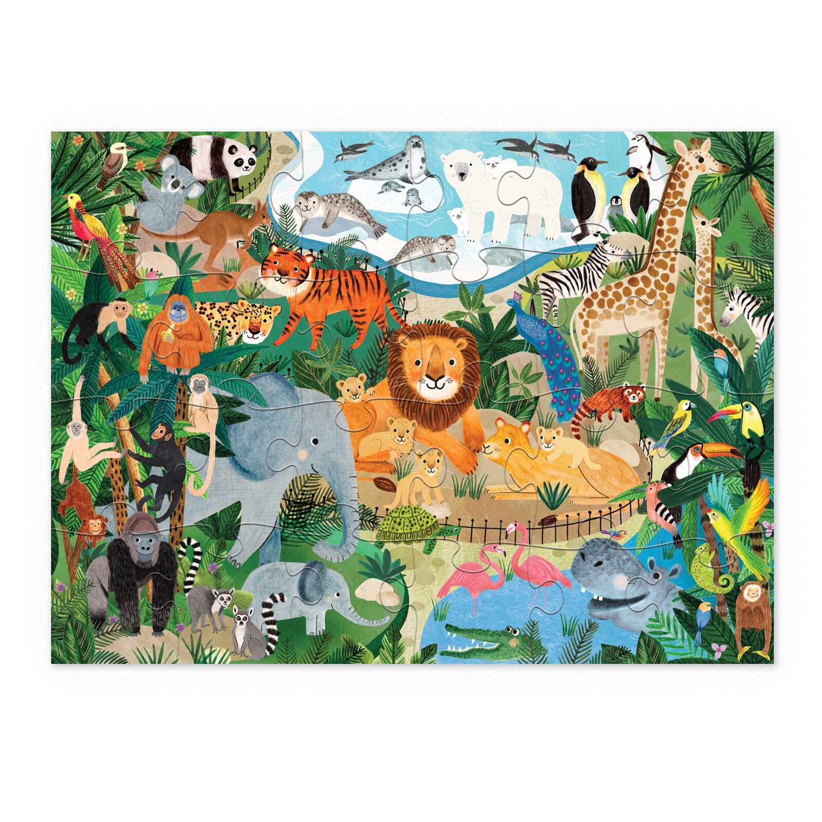 C41602_24PC_Zoo_Ecomm_2-medium_06457059-551b-469c-abbe-e4942b5f37f1.jpg