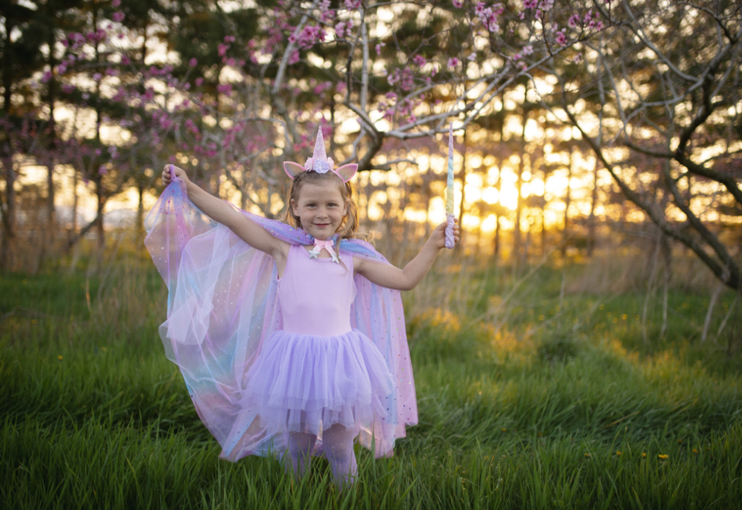 Lilac Ballet Tutu Dress - Size 5-6